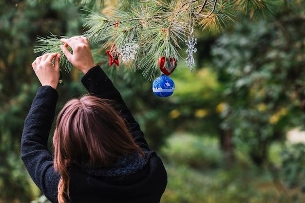 Francuska kolęda pod choinkę: Mon Beau Sapin