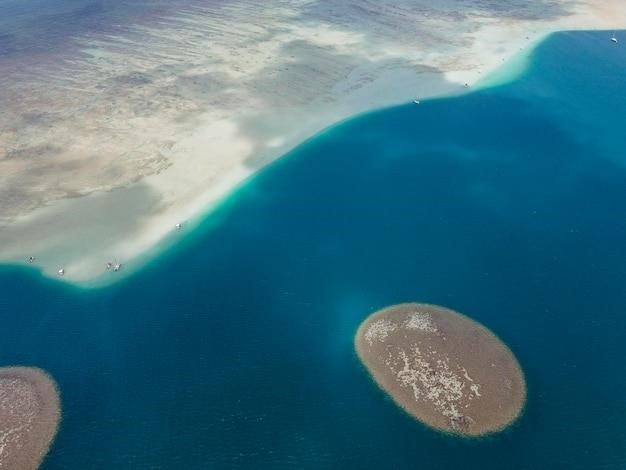 Interakcja między oceanem a atmosferą El Nino