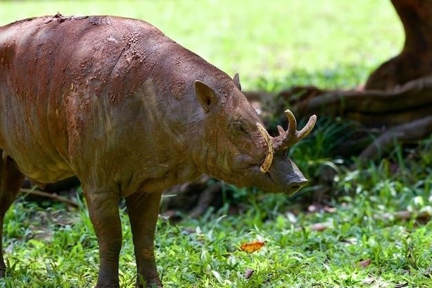 Entelodon (zabójcza świnia) – fakty i liczby