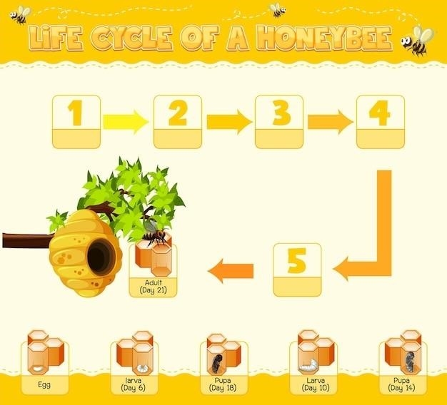 Przygotowania do konkursu Geography Bee