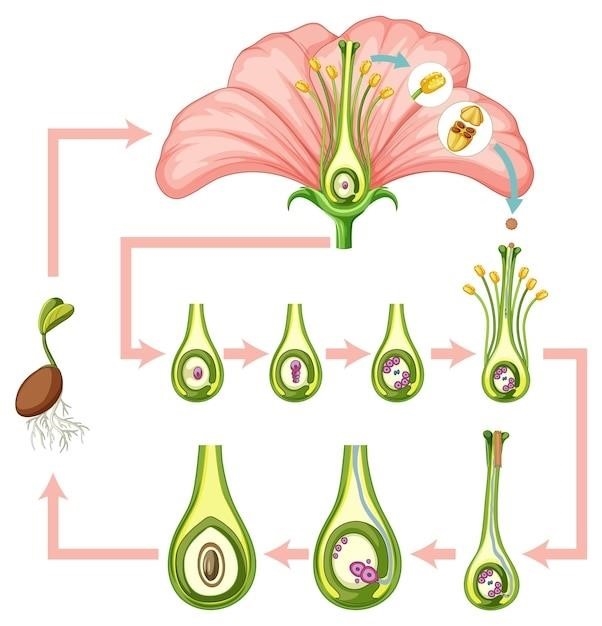 Biologia Przedrostki i przyrostki: glyco-, gluco-