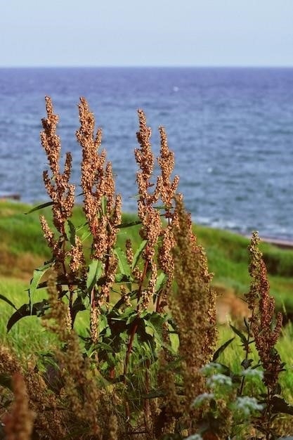 Pochodzenie i wykorzystanie amarantusa w prehistorycznej Ameryce