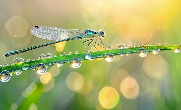 Różnica między ważkami a damselflies