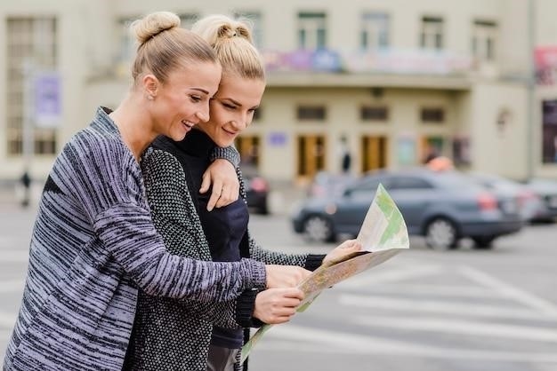 Lekcja francuskiego słownictwa: Prowadzenie samochodu