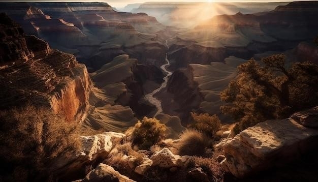 Arizona przeciwko Hicksowi: Sprawa w Sądzie Najwyższym, argumenty, wpływ