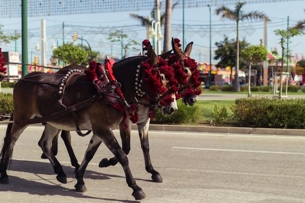 Bieg Byków: Historia hiszpańskiego festiwalu San Fermin