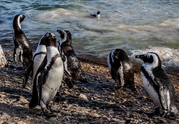 Fakty dotyczące pingwina cesarskiego (Aptenodytes forsteri)