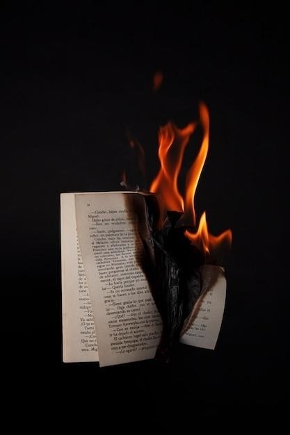 Fahrenheit 451 – słownictwo