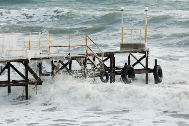 Szturm na plaże: Wczesne kręgowce lądowe