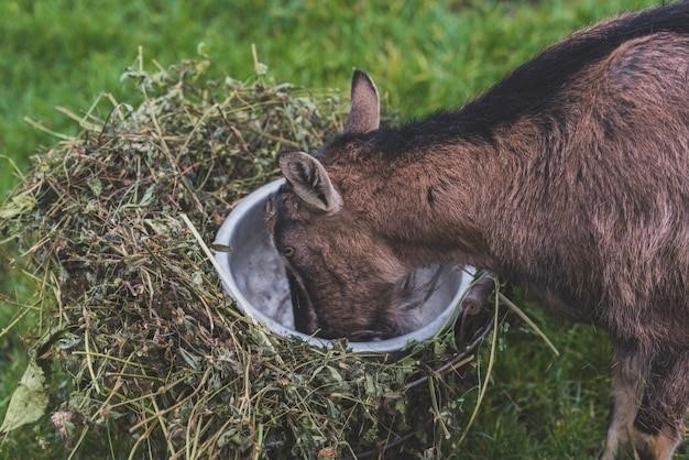 Czy tauryna w Red Bullu pochodzi z nasienia byka?