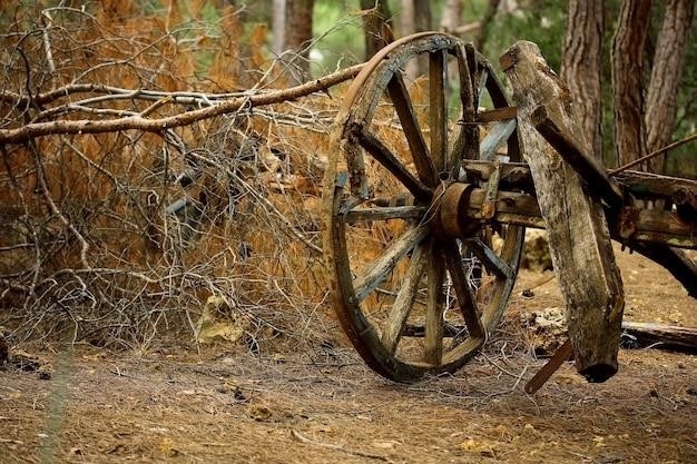 Amerykańska wojna secesyjna – bitwa pod Oak Grove