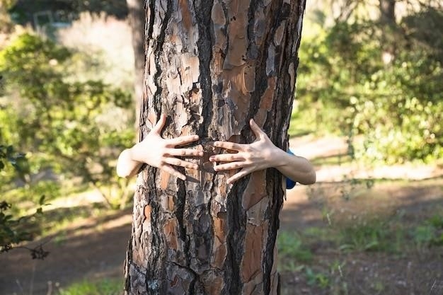 Dendrochronologia – zapisy zmian klimatu w pierścieniach drzew