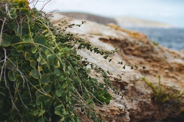 Ile pierwiastków można znaleźć naturalnie?