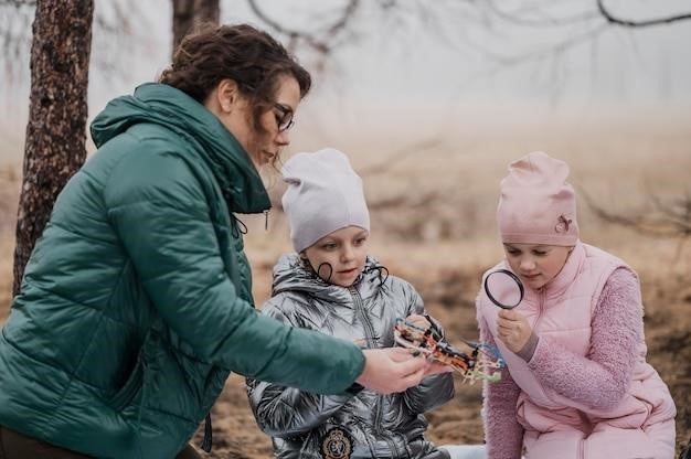 10 największych rodzin chrząszczy w Ameryce Północnej