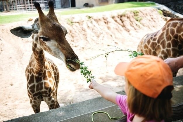 Hiszpański w zoo: Nazwy zwierząt po hiszpańsku