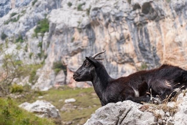 Definicja i przykłady Mountweazels