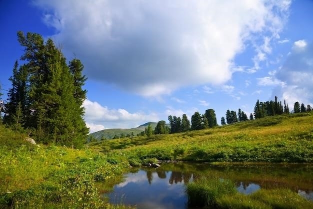 Rosyjskie słowa: Natura i pogoda