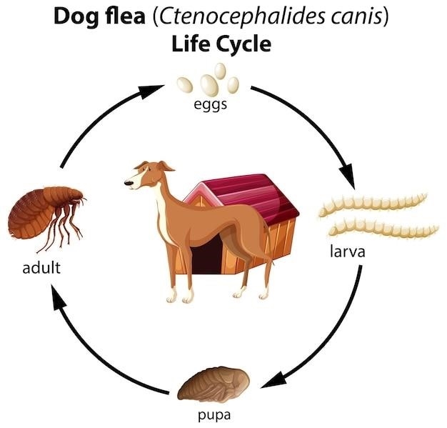 Fakty i liczby dotyczące Cynognathus